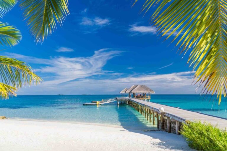 Top Tropical Destinations Perfect for Summer Holidays