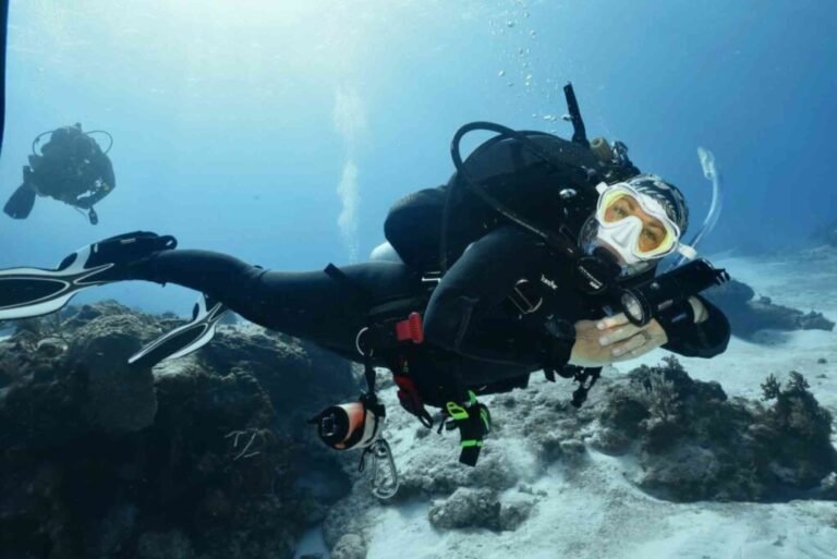 Best Underwater Destinations for Diving Lovers